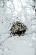 Bonnet beige à motifs bleus
